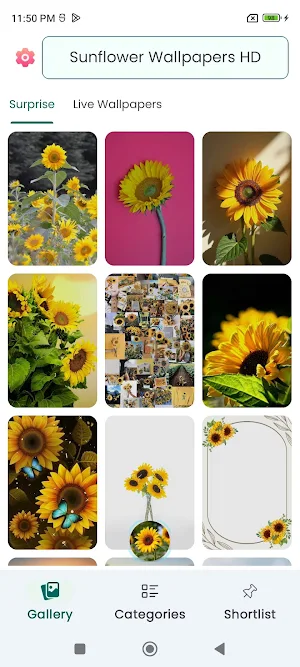 Sunflower Wallpapers HD Screenshot 0