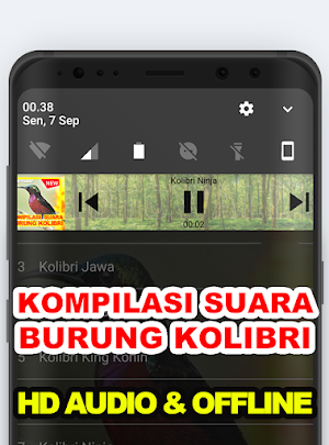 Suara Kicau: Burung Kolibri Screenshot 1