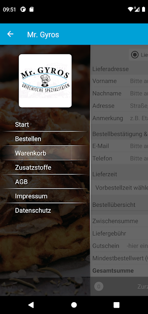 Mr. Gyros Screenshot 0