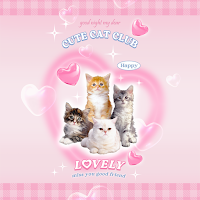 Pink Cute Cat - Wallpaper
