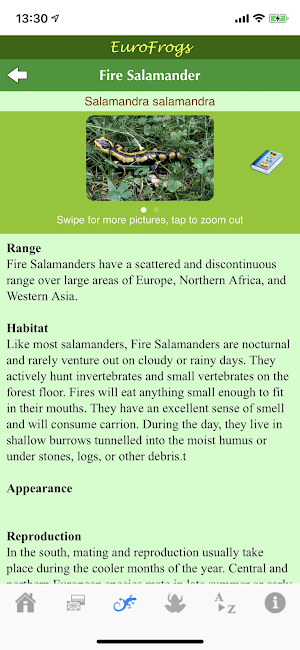 EuroFrogs Screenshot 3