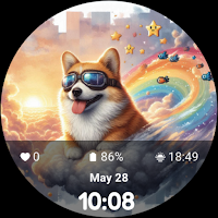 corgi dog_001