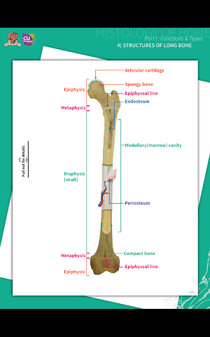 Hi-Med App Screenshot 3