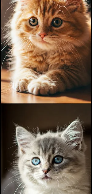 Cute Cat Wallpapers Screenshot 1