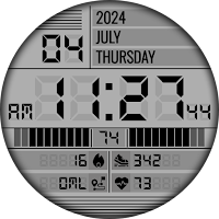 TkuWatch S014 Retro Watch Face