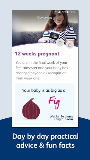 Pregnancy App & Baby Tracker; Week by Week -Bounty Screenshot 2