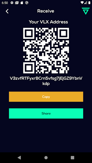 Velas Wallet Screenshot 1