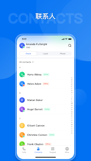Dinlink Screenshot 1