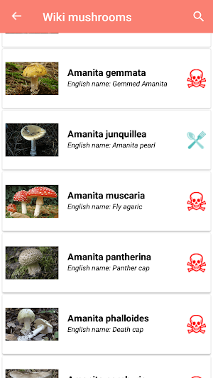 Mushroom Identification Screenshot 2