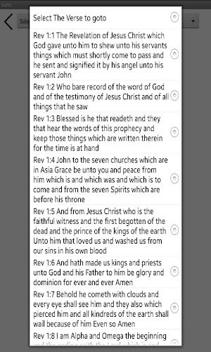 The Book of Revelation Commentary Screenshot 3