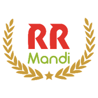 RR Mandi