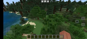 Minicraft 5 Screenshot 3