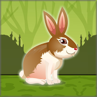 FreeTheGrayRabbit
