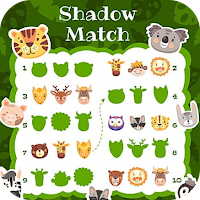 Shadow Match