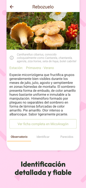 Mycotour-Aragón Screenshot 1