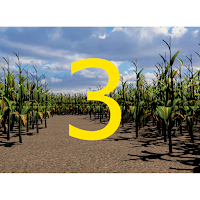Walla Walla Corn Maze Year 3 (