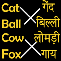 English to Hindi Word Matching