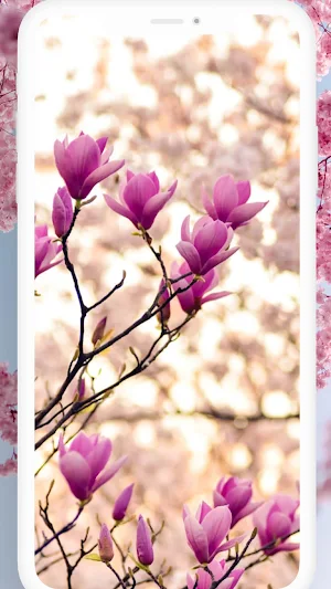 Spring Live Wallpapers HD Screenshot 3