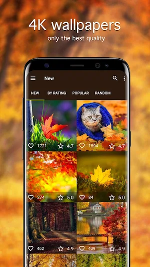 Autumn Wallpapers PRO Screenshot 0