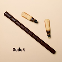 Duduk Instrument