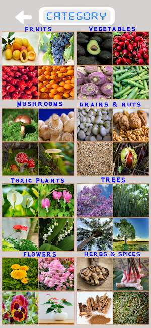 Plants Trivia Screenshot 1