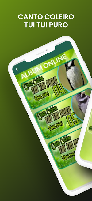 Canto Do Coleiro Tui Tui Puro Screenshot 1