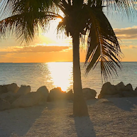 caribbean wallpaper