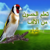 تعلم الحسون من الالف للياء