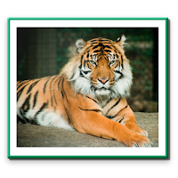 Wild Life (Protection) Act 1972