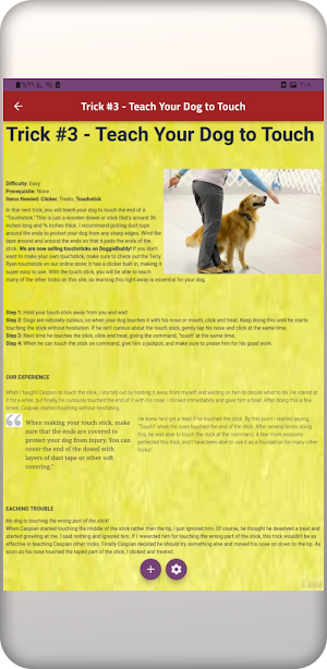 Dog Obedience Training Screenshot 3