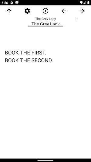 Book, The Grey Lady Screenshot 0