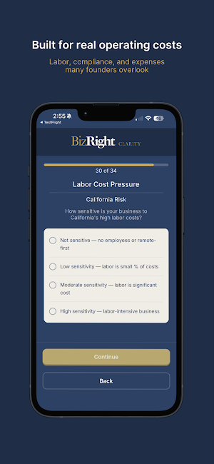 BizRight Clarity Screenshot 2