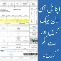 MEPCO Bill check online