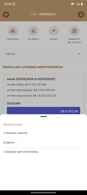 Vip Gestor Screenshot 1