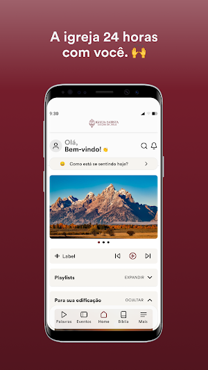 IBPJ Screenshot 0