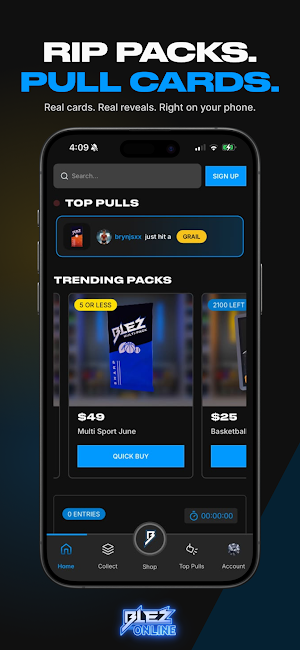 Blez Online Screenshot 0