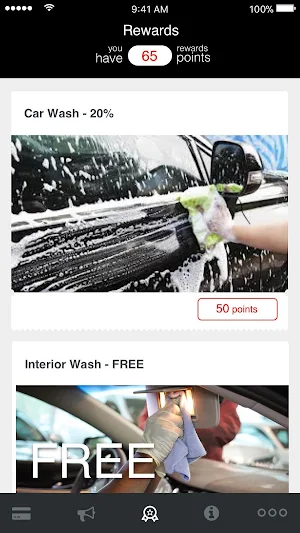 SwissWash Screenshot 3