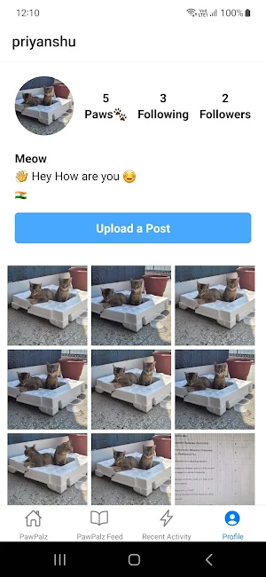 PawPalz - Pets Share Stories Screenshot 0