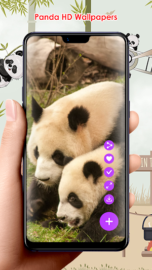 Panda HD Wallpapers Screenshot 1