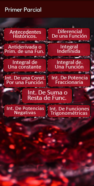 Calculo Integral Screenshot 1