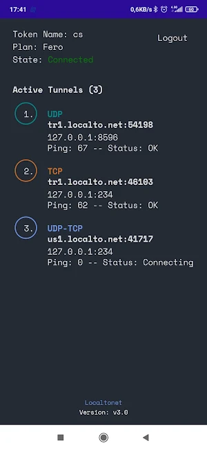 Localtonet Screenshot 2