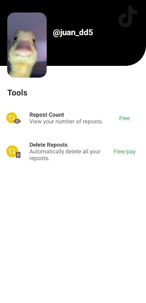 SocialAut Screenshot 2