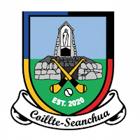 Colt Shanahoe GAA