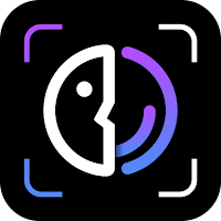 FaceFancy—Face swap editor