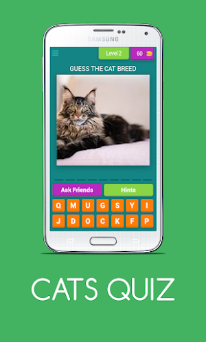 CATS QUIZ Screenshot 2