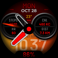 Watch Face WF110