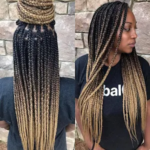 African Braids Hairstyles Screenshot 2