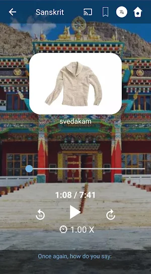 Learn Sanskrit. Speak Sanskrit. Study Sanskrit. Screenshot 2