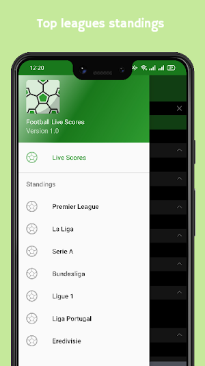 Football Live Scores Screenshot 2