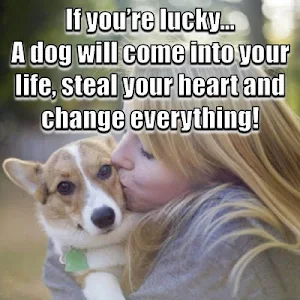 Animal Lover Quotes - Dog Lover Status - Cat Love Screenshot 3